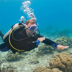 Free PADI Advanced Open Water Diver Course Option 5